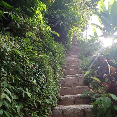 Jungleadventure Cabin Camping Bedugul  Buitenkant foto