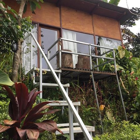 Jungleadventure Cabin Camping Bedugul  Buitenkant foto