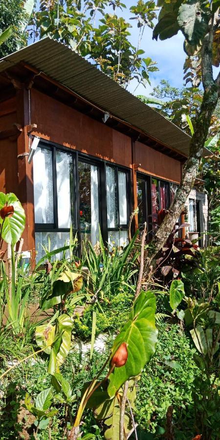 Jungleadventure Cabin Camping Bedugul  Buitenkant foto